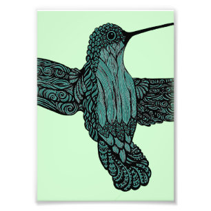 Impression Photo Colibri - Teal