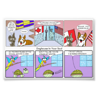 Impression Photo Collie frontalier / Efficacité énergétique