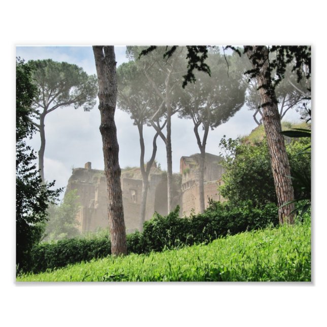 Impression Photo Colline Palatine à travers les arbres, Rome (Devant)