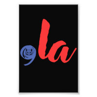 Comma La 2024 Pour Élection Présidentielle 2024 Dr