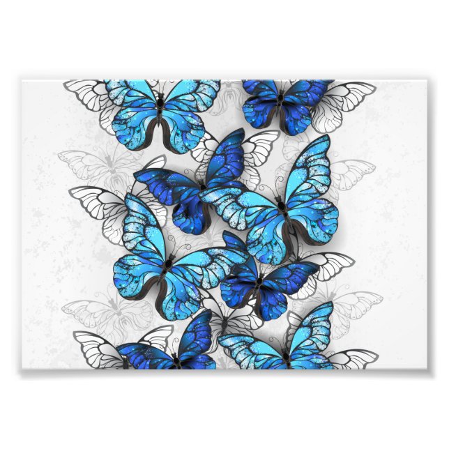Impression Photo Composition des White and Blue Butterflies (Devant)