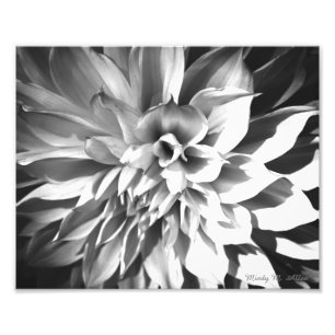 Impression Photo Copie noire et blanche 8 x 10 de chrysanthème