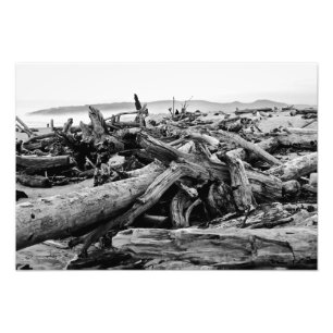 Impression Photo Copie noire et blanche de bois de flottage de côt