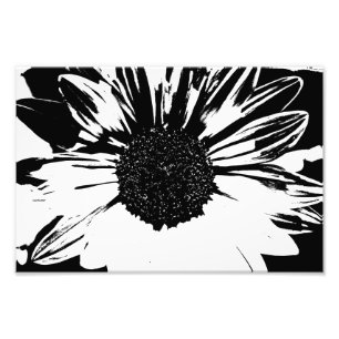 Impression Photo Copie noire et blanche de tournesol