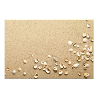 Impression Photo Coques De Mer Sur Le Sable