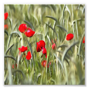 Impression Photo Corn Poppies