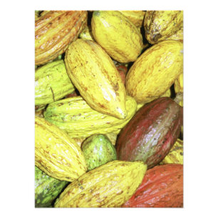Impression Photo Cosses de cacao
