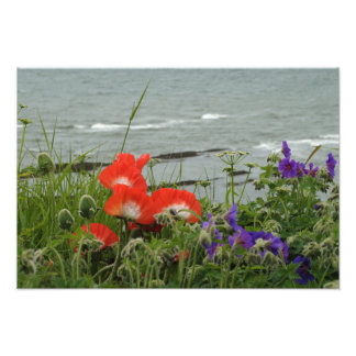 Impression Photo Côte des fleurs sauvages