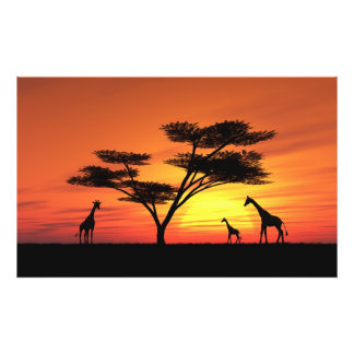 Impression Photo Coucher de soleil africain