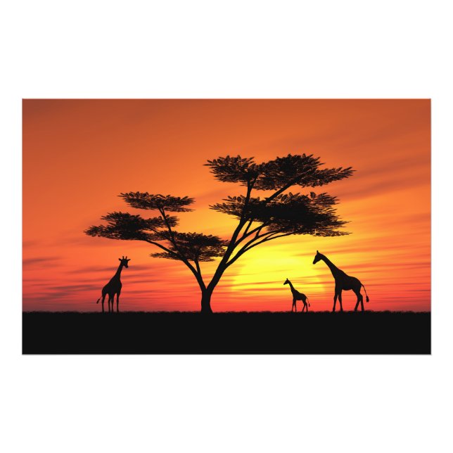 Impression Photo Coucher de soleil africain (Devant)
