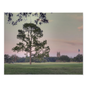 Impression Photo Coucher de soleil d'Audubon Park