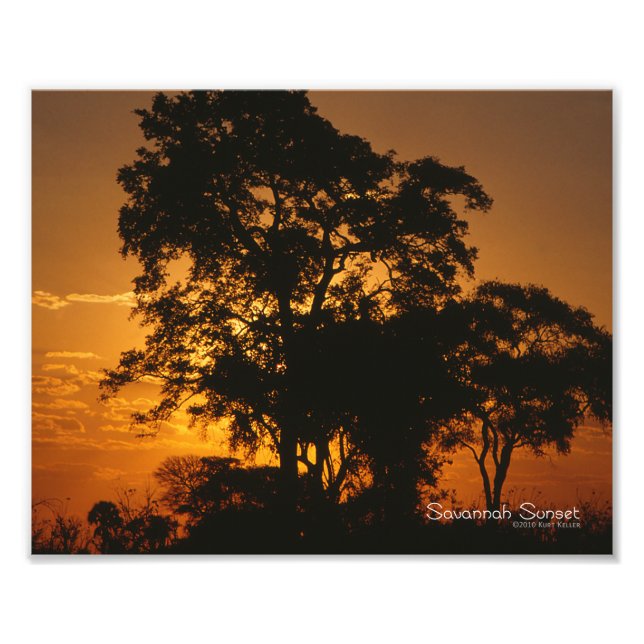 Impression Photo Coucher de soleil de Savannah (Devant)