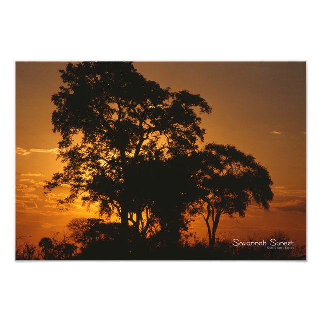 Impression Photo Coucher de soleil de Savannah (Devant)