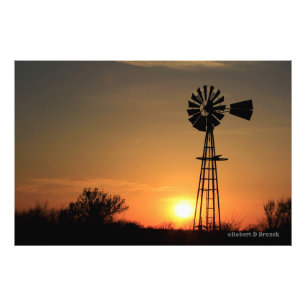Impression Photo Coucher de soleil du Kansas avec Silhouette de mou