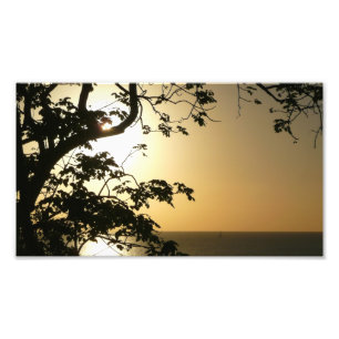 Impression Photo Coucher du soleil à travers les arbres II Photogra