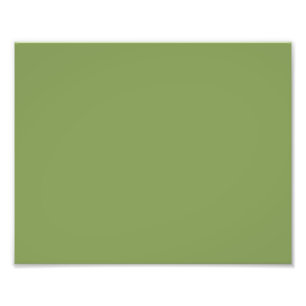Impression Photo Couleur Arrière - plan vert Moss tendance Personna