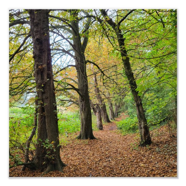 Impression Photo Couleurs d'automne (Devant)