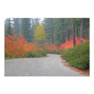 Impression Photo Couleurs d'automne des forêts dans The Cascade