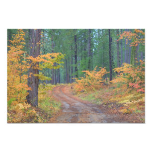Impression Photo Couleurs d'automne des forêts dans The Cascade 6