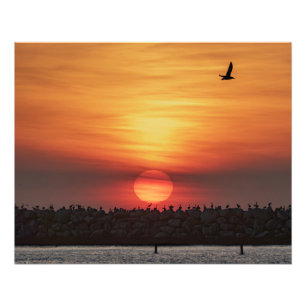 Impression Photo Couleurs de coucher de soleil magnifiques - Marina