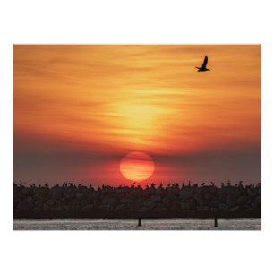 Impression Photo Couleurs Magnifiques de Coucher de Soleil - Marina
