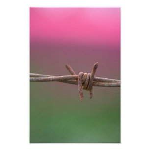 Impression Photo Couleurs pointues