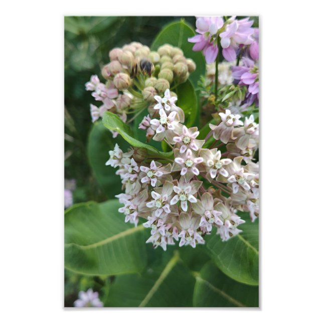 Impression Photo Couleurs surprenantes (Devant)