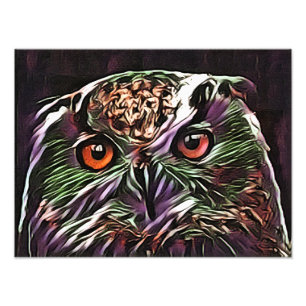 IMPRESSION PHOTO COUPER OWL
