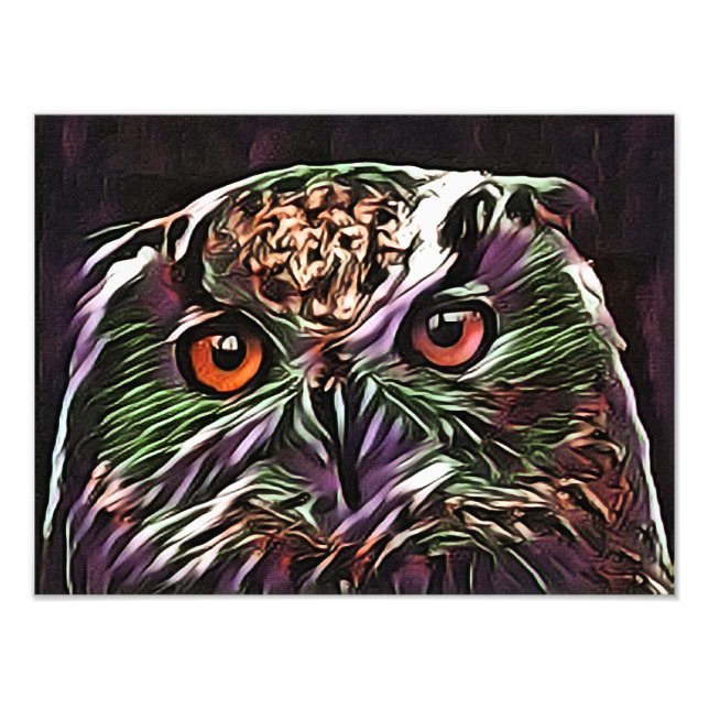 IMPRESSION PHOTO COUPER OWL (Devant)