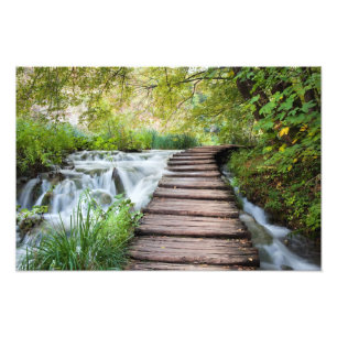 Impression Photo Courant dans la forêt