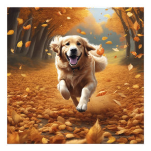 Impression Photo Courir un chien en automne Feuilles d'art Imprimer