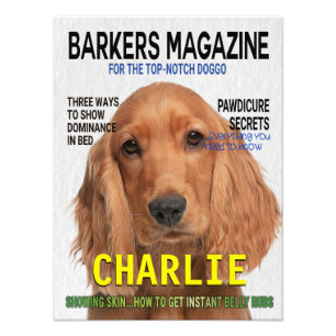 Impression Photo Couverture du magazine Cocker Spaniel Parody
