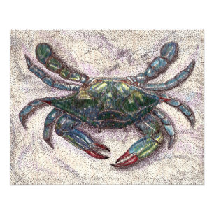 Impression Photo Crabe bleu de la baie Chesapeake Imprimer