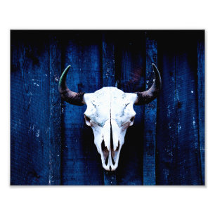 Impression Photo Crâne de bison