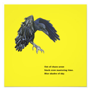 Impression Photo Crow noir et Haiku