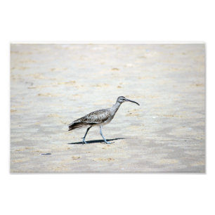 Impression Photo Crystal Cove State Park