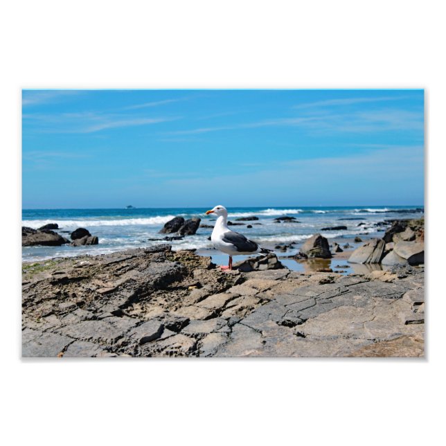 Impression Photo Crystal Cove State Park (Devant)