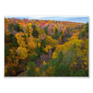 Impression Photo Cut River valley, Fall, Michigan