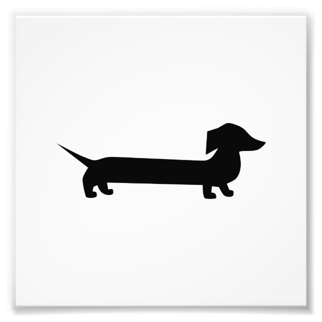 Impression Photo Cute Dachshund (Devant)