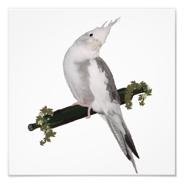 Impression Photo Cute Lutino Cockatiel Bird Ivy Perch Animal (Devant)