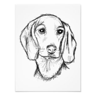 Impression Photo dachshund hand drawn sketch black white puppy dog