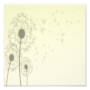 Impression Photo Dandelions