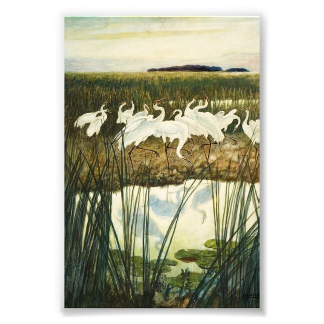 Impression Photo Danse des grues blanches par N. C. Wyeth (Devant)