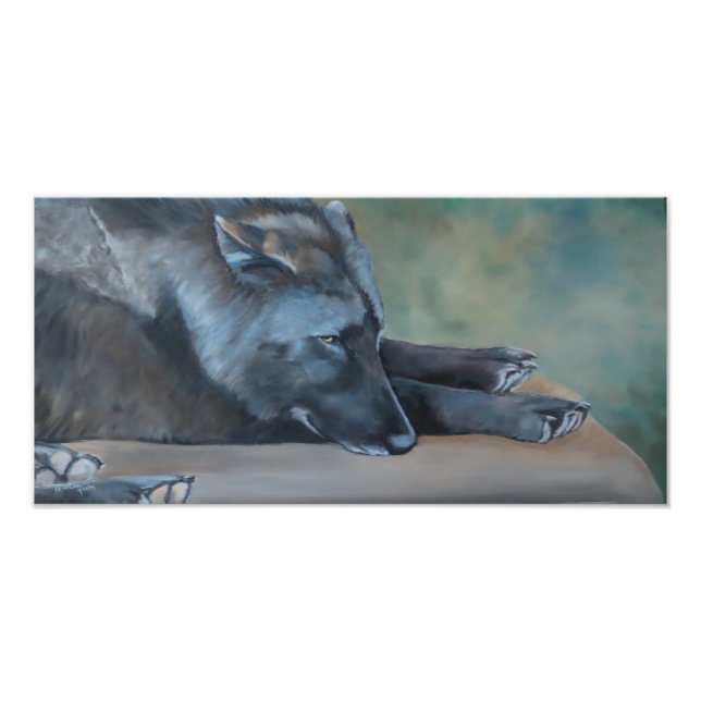 Impression photo d'art Loup noir Lying (Devant)