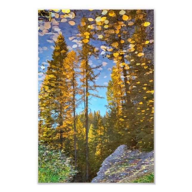 Impression photo de 8 po x 12 po || Mountain Puddl (Devant)
