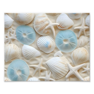 Impression photo de coquillages