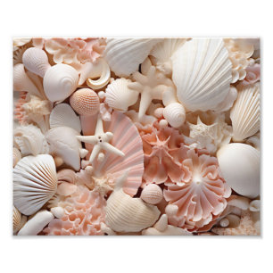 Impression photo de coquillages