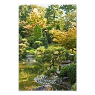 Impression photo de jardin japonais