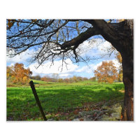 Impression photo de pâturage en automne