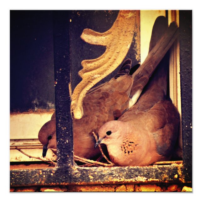 Impression photo de préparation (Devant)